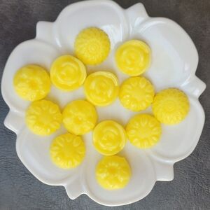 Handmade Piña Colada Wax Melts